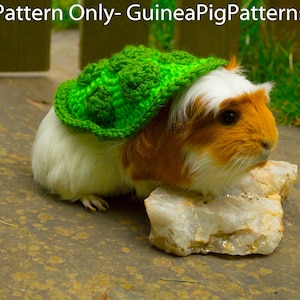 Guinea Pig Turtle Crochet Costume Pattern Small Animal Digital Download Jumper DIGITAL ONLY