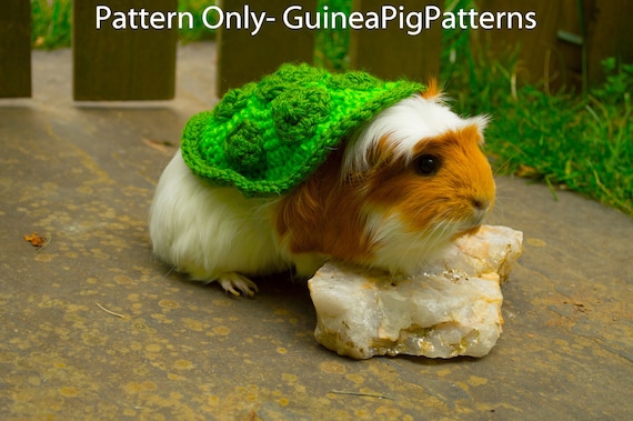 Meerschweinchen Schildkrote Hakeln Kostum Muster Kleine Tier Etsy