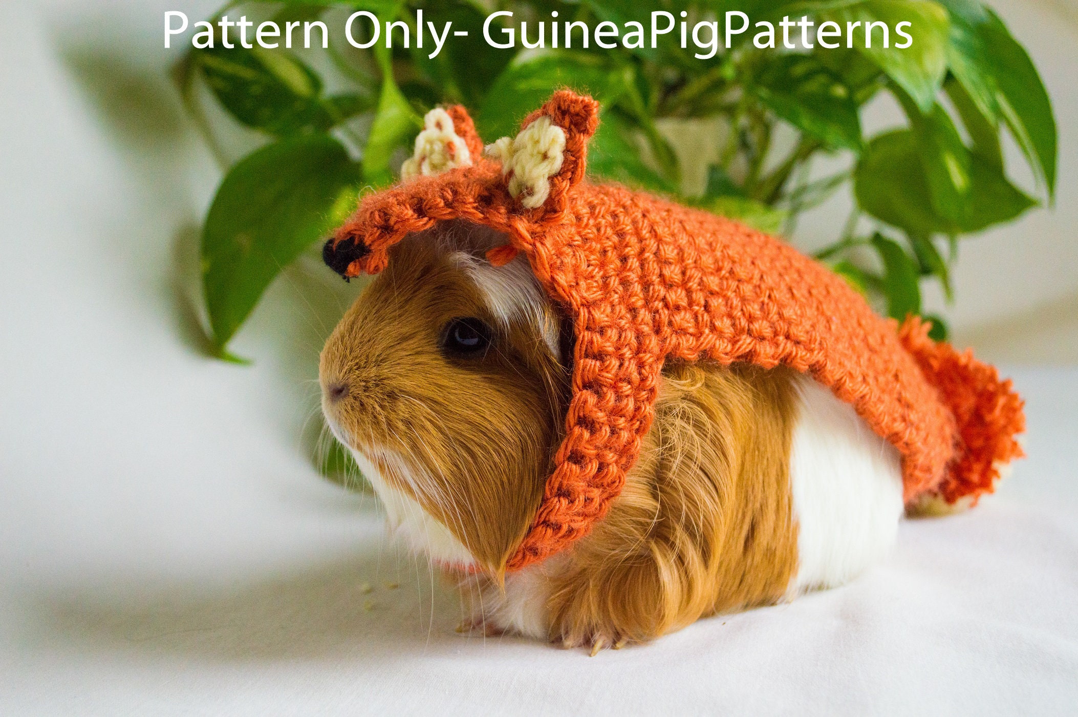 Meerschweinchen kostuemmuster