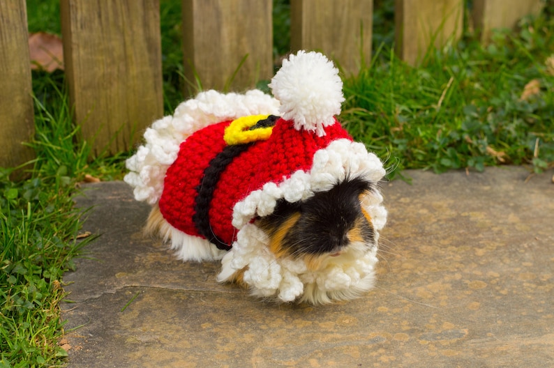 Guinea Pig Santa Sweater Costume Crochet Small Animal image 0