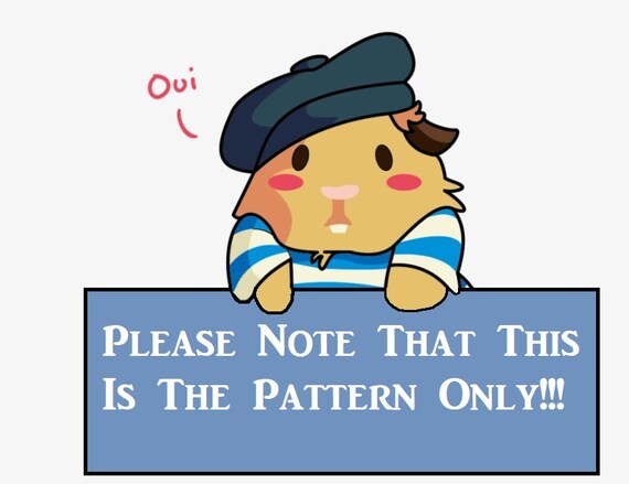 Meerschweinchen Hakeln Fee Kostum Muster Digitaler Download Etsy