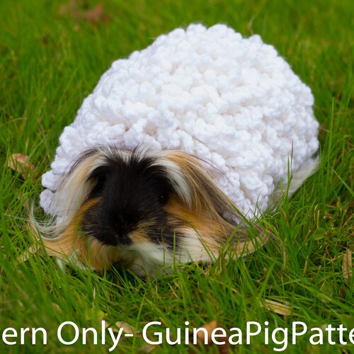 Guinea Pig Pattern Hoodie Sweater Crochet DIGITAL DOWNLOAD PDF Etsy