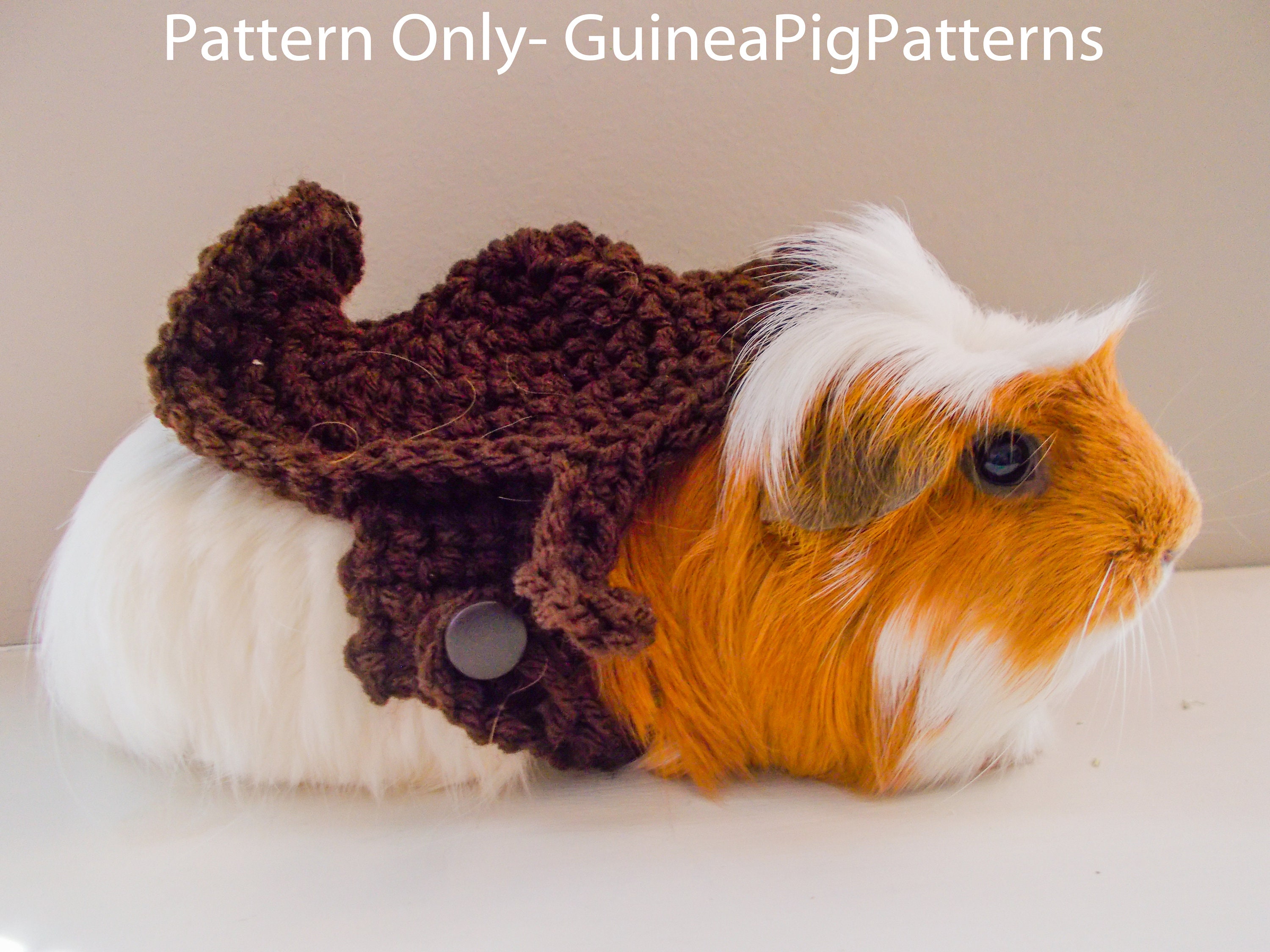 Meerschweinchen Kleine Tier Hakeln Sattel Muster Digital Etsy