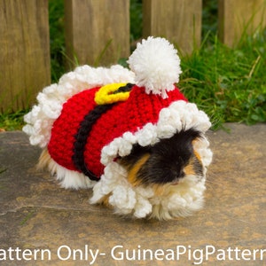 Guinea Pig Santa Crochet Sweater Pattern Costume Cosplay Holidays PDF Digital Download Christmas Xmas Jumper DIGITAL ONLY