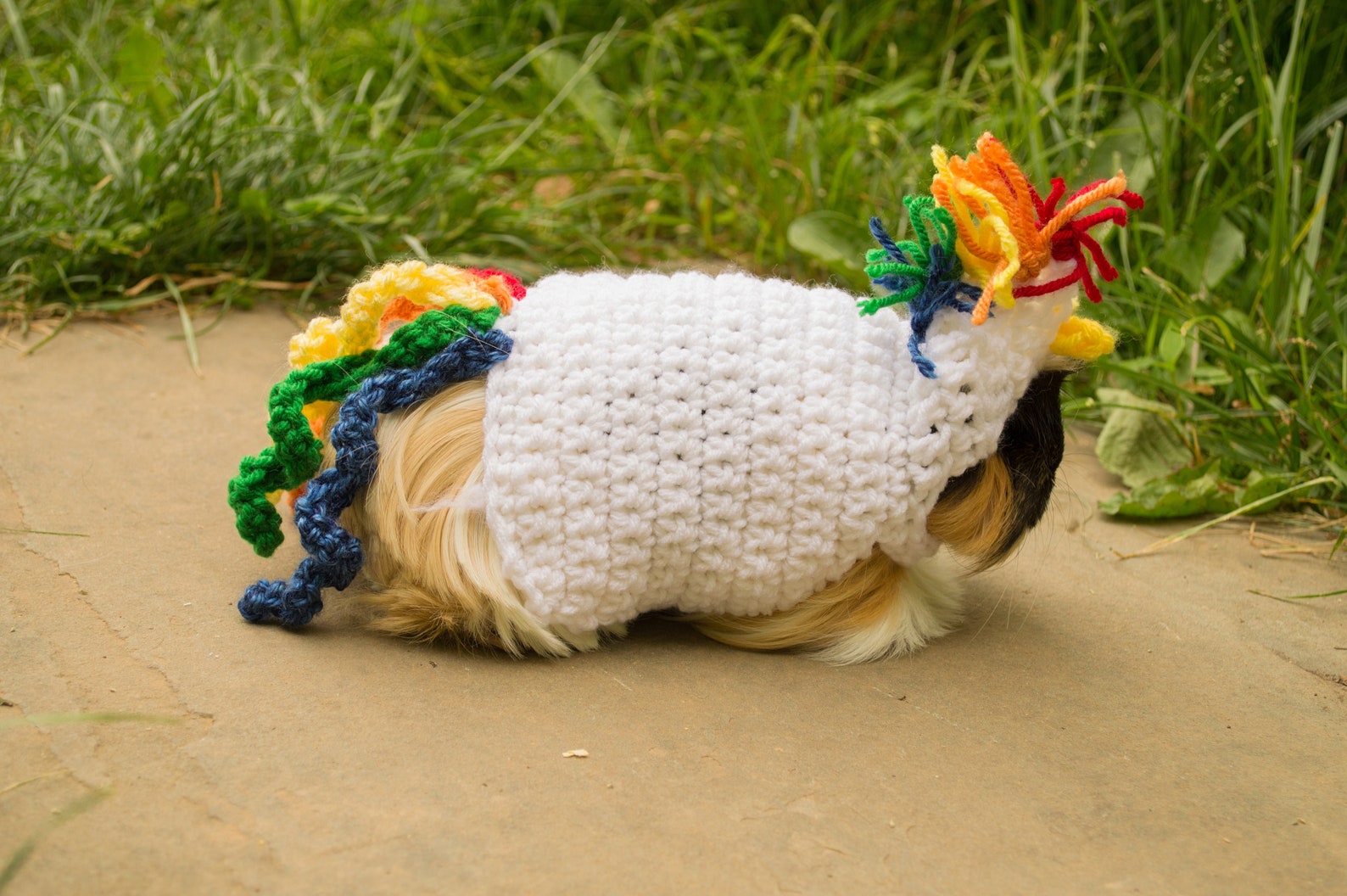 Guinea Pig Unicorn Costume Sweater Cosplay Rainbow Small Etsy