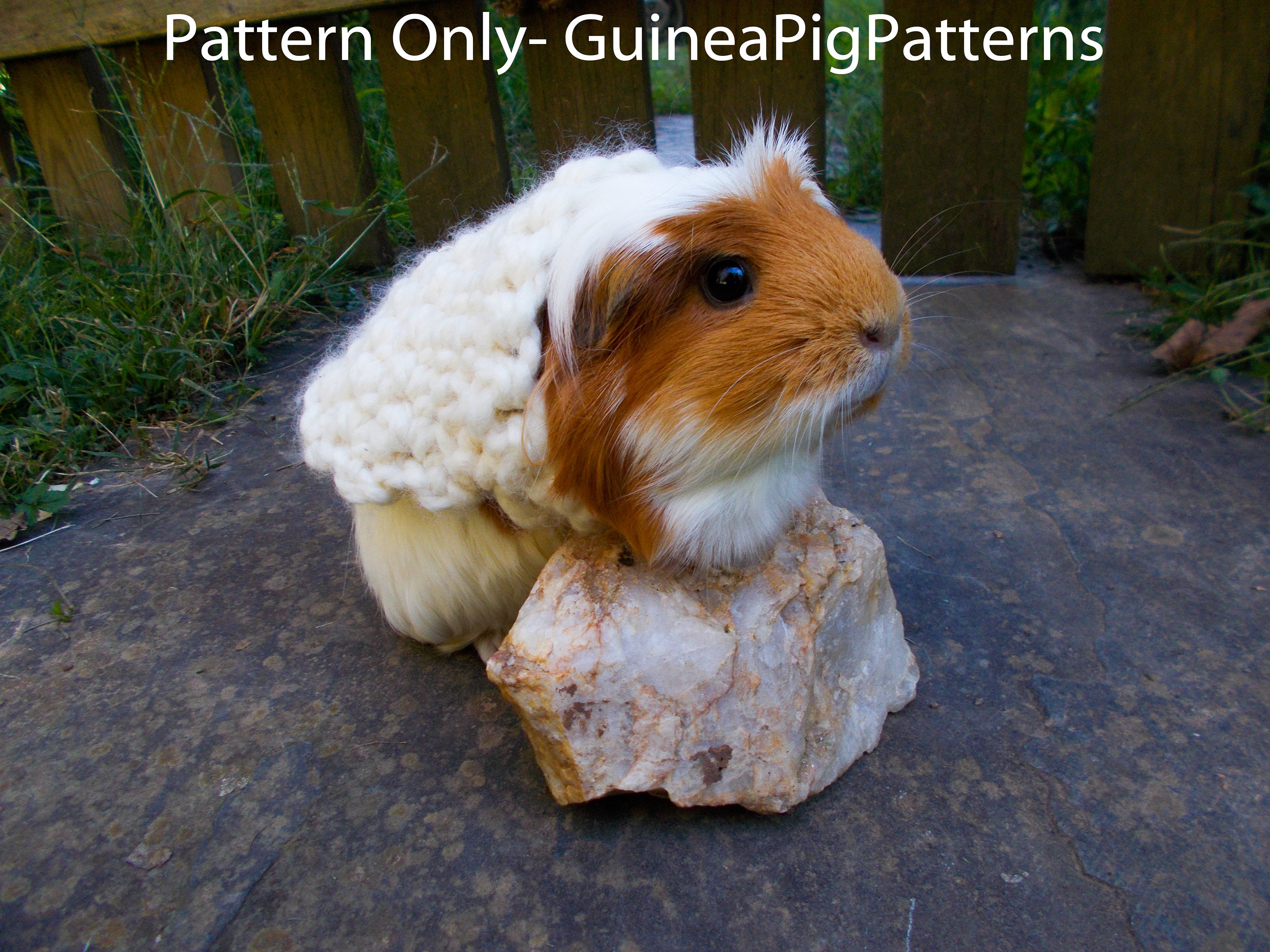 Hakeln Muster Pullover Meerschweinchen Kleines Tier Etsy