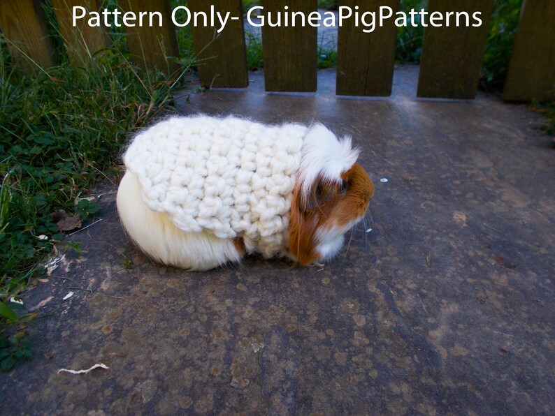 Crochet Pattern Sweater Guinea Pig Small Animal Digital Download Jumper