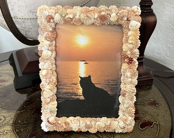 Kitten Paw Seashell Picture Frame 5.5x8 - Etsy