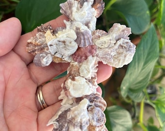 Adornos de cruz de concha de varias especies con conchas de Florida
