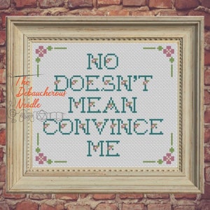 No Doesn’t Mean Convince Me Snarky Modern Feminist Consent Cross Stitch PDF and Pattern Keeper Pattern