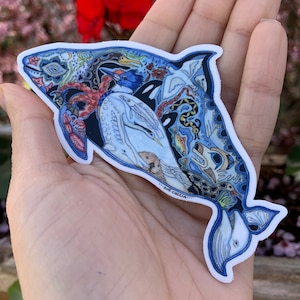 Dall’s Porpoise Sticker