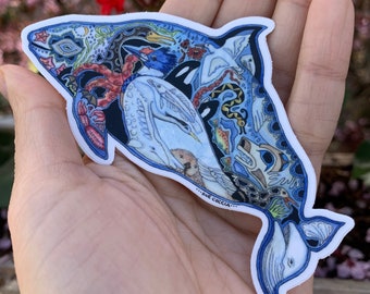 Dall’s Porpoise Sticker