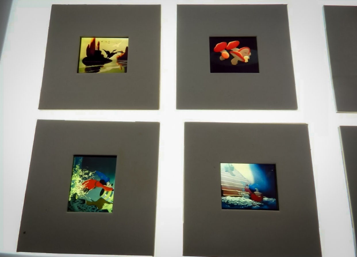 Disney's Fantasia mounted 35MM Original Film Cells 5 Etsy