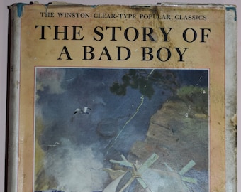 ORIGINAL 1927 'The Story of a Bad Boy'  by Edwin John Prittie