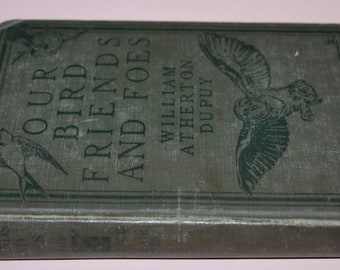 Vintage Book 1925 'Our Bird Friends and Foes' By William Atherton DuPuy