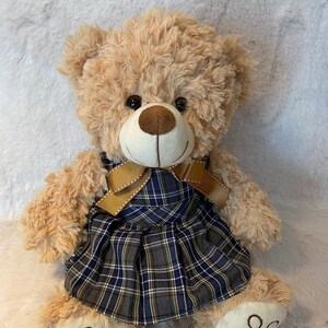 May include: A plush teddy bear wearing a plaid dress with a brown bow. The bear has light brown fur and a white face with brown eyes.