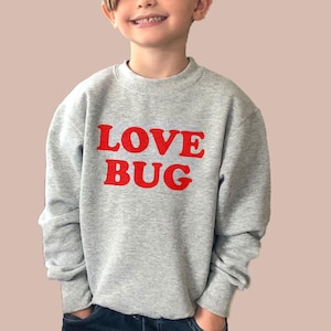May include: A gray sweatshirt with the words "LOVE BUG" printed in red on the front.