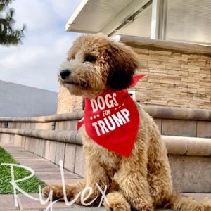 Dogs for Trump bandana, Pets for President Trump bandanna neck tie