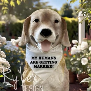 Pañuelo para perro con el mensaje &quot;Mis humanos se van a casar&quot;, pañuelo para el día de la boda para perros, corbata de anuncio de compromiso para mascotas