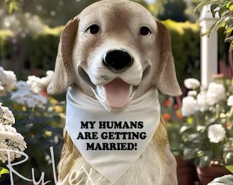 Pañuelo para perro con el mensaje "Mis humanos se van a casar", pañuelo para el día de la boda para perros, corbata de anuncio de compromiso para mascotas