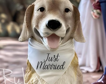 Pañuelo para perros recién casados, pañuelo de boda para perros, corbata de anuncio de compromiso para mascotas