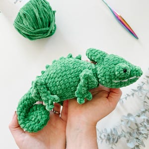 May include: A handmade, green crocheted chameleon toy with a textured surface, held in hands. A ball of green yarn and a rainbow crochet hook are also visible. The yarn label reads "Baby Snuggle".