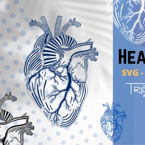 Imágenes prediseñadas realistas del corazón humano, SVG de cardiología, descarga digital instantánea, archivo vectorial cardíaco anatómico para sublimación, ilustración médica