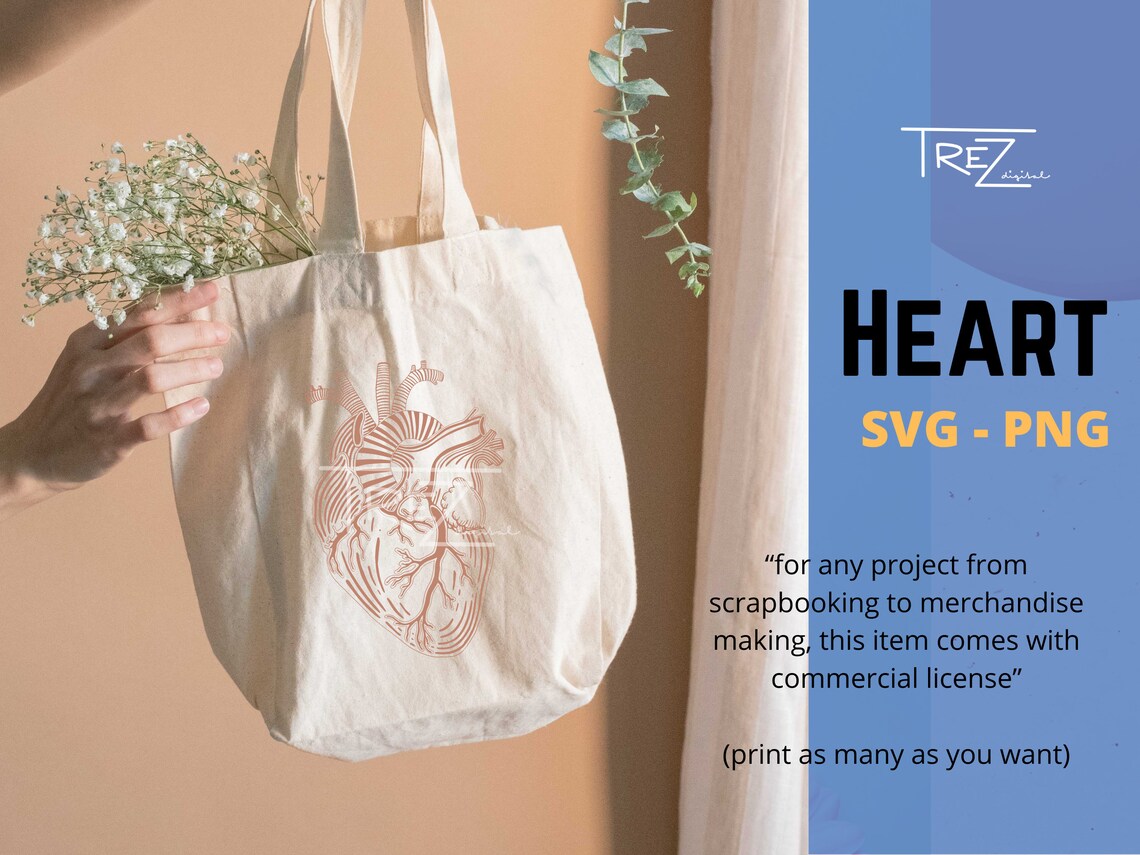 Realistic Human Heart Clipart, Cardiology SVG, Instant Digital Download ...