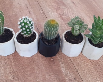 Macetero Cemento Etsy Ellas son únicas en su estilo, están en armonía con los diferentes entornos, pueden ser entre los más adecuados están las macetas de cemento decoradas con piedras, esta es una forma muy fácil. macetero cemento etsy