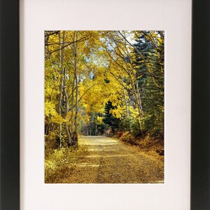 Taos New Mexico/Fine Art Photography/Photography Digital Download/Travel Photography/Adventure/Portrait Orientation/Landscape/Fall Leaves