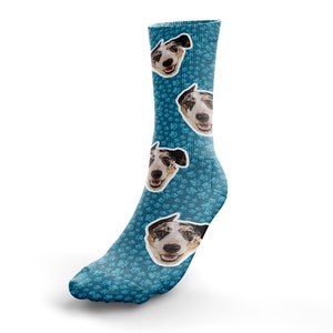 custom dog socks for humans