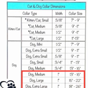 Pu&ograve; includere: Un grafico che mostra le dimensioni e le larghezze dei collari per gatti e cani. Il grafico &egrave; diviso in due colonne, una per i collari per gatti e una per i collari per cani. Ogni riga elenca una dimensione di collare diversa e la larghezza corrispondente. Il grafico &egrave; etichettato "Dimensioni del collare per gatti e cani".