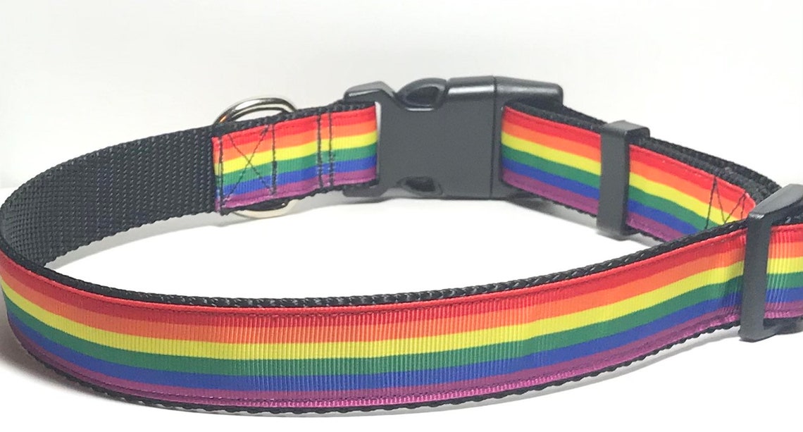 Rainbow Collar Etsy