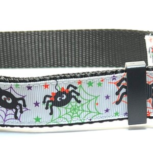 Spiders with Colorful Webs Collar