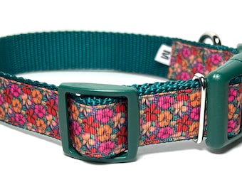 May include: A teal dog collar with a floral pattern. The collar features a teal buckle and a floral patterned strap with pink, orange, and red flowers. The collar has a medium size label.