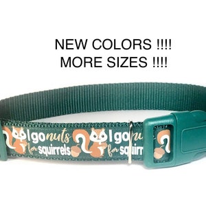May include: Green dog collar with a white and gold print of squirrels and the text "I go nuts for squirrels".