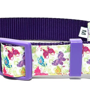 Fancy Flyers Butterfly collar