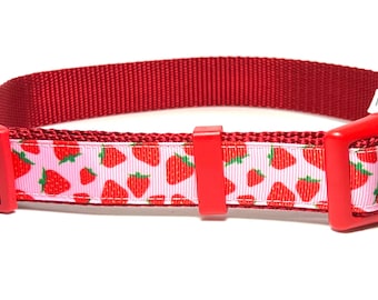 May include: Red dog collar with a pink and white strawberry pattern. The collar features a red plastic buckle and adjustable strap. A fun accessory for your pet.