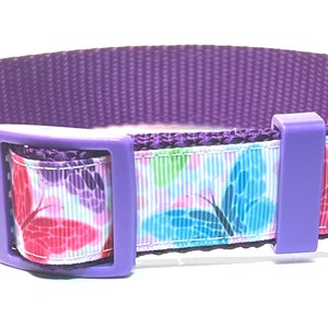 Stunning Butterfly collar