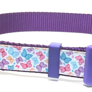 Itty Bitty Butterfly collar