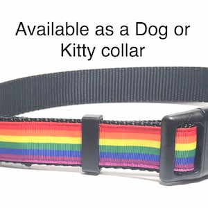 Rainbow collar
