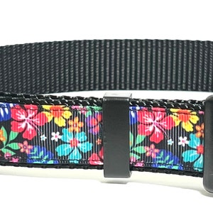 Colorful Tropics Collar