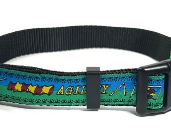 Agility in Blue and Green