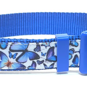Blue Butterfly collar