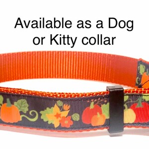Punkins Galore collar
