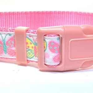 Charming Butterfly collar