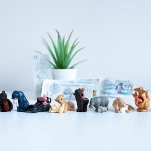 Animale Ferrero Kinder Surprise Vintage 1994-1999 con figurine di bambini + carta originale (BPZ)