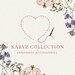 Karyz