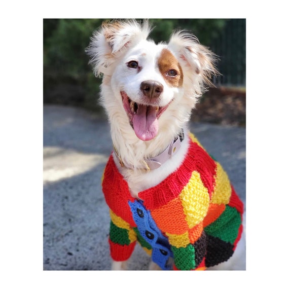 Hand Knitted Pets' Sweater - Patchwork Multicolor Harry Styles JW