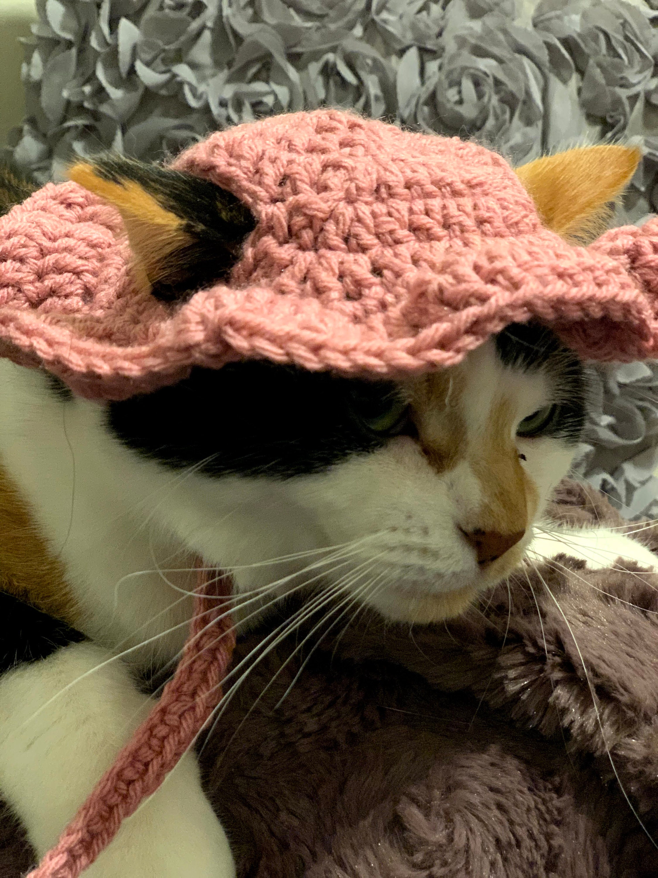 Crocheted Sun Hat for Cat or Dog, Yellow Sunshine Hat for Pet